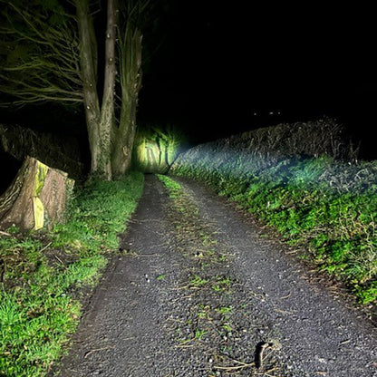 Long Ranger Pistol Light