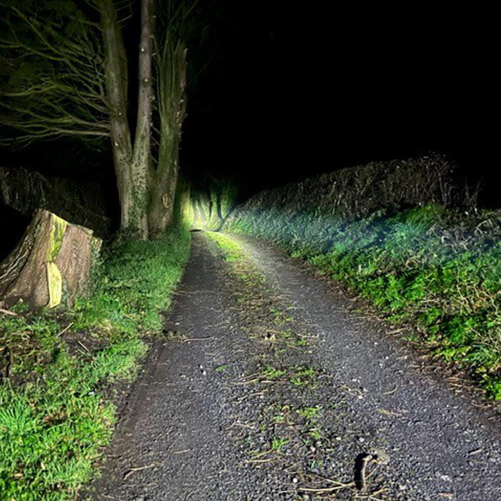 Long Ranger Pistol Light