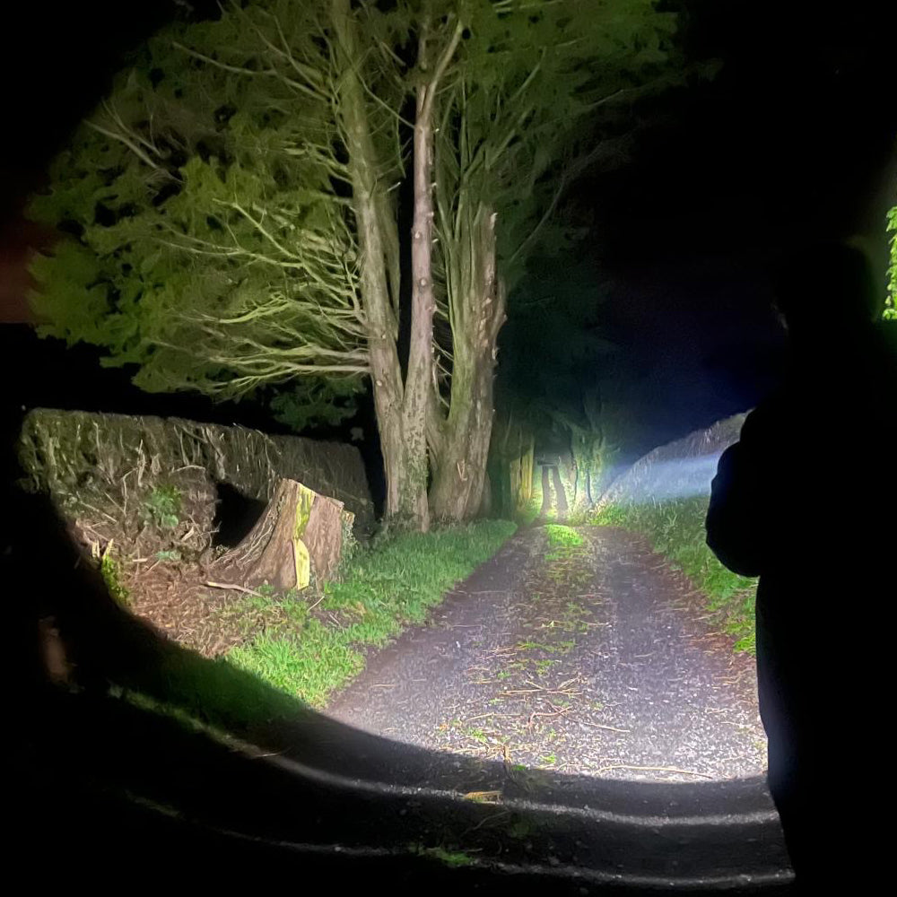 Long Ranger Pistol Light