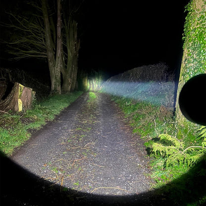 Long Ranger Pistol Light