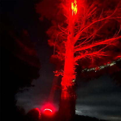 Long Ranger Pistol Light