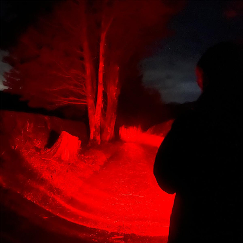 Long Ranger Pistol Light